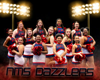 NMS Dazzlers team picture